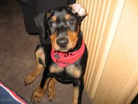 Brisco0012