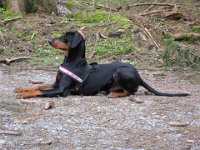 Brisco0016