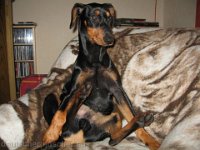 Brisco0022