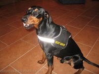 Brisco0025