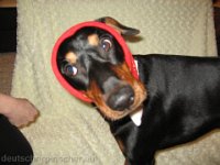 Brisco0028