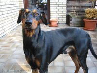 Brisco0032