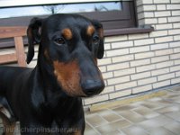 Brisco0034
