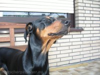 Brisco0035