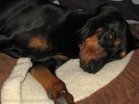 Brisco0042