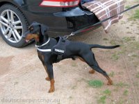 Brisco0046