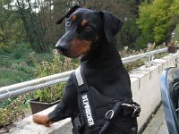 Brisco0048