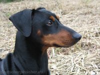 Brisco0052