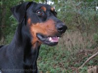 Brisco0055