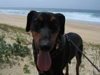 Brisco0067