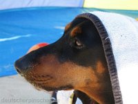Brisco0068