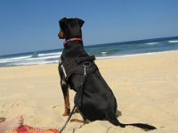 Brisco0074