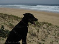 Brisco0079