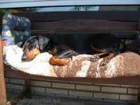 Brisco0085