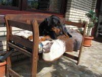 Brisco0086