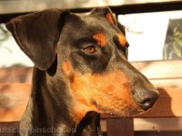 Brisco0093