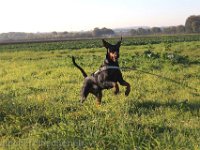 Brisco0098