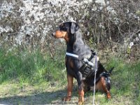 Brisco08
