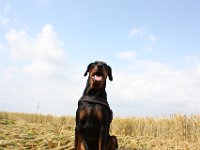 IMG 0354