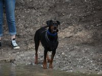 IMG 7502
