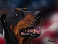 usbrisco