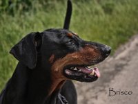 IMG 0009-Groß