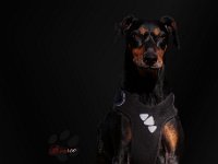 Brisco0025-hd