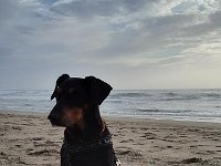 20190809 193435-Klein