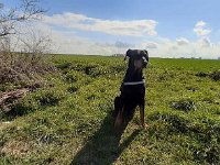 Brisco01