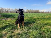 Brisco02
