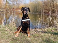 Brisco01